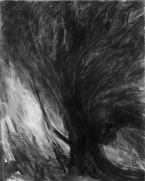 arbre
